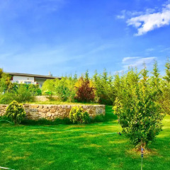 Villa Gudca Турция, Ташкёпрю - отзывы, цены и фото номеров - забронировать отель Villa Gudca онлайн фото 8