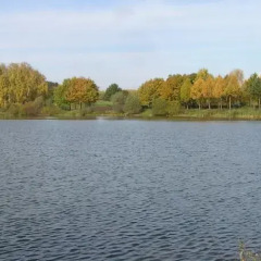Мини-Отель Планерная фото 2