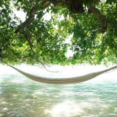 Отель Barrier Beach Resort Вануату, Сараотоу - отзывы, цены и фото номеров - забронировать отель Barrier Beach Resort онлайн приотельная территория
