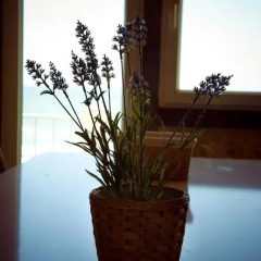Отель Blue Buddha Beach House гостиничный бар