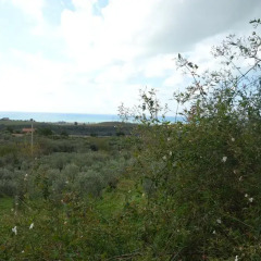 Отель Pezzino Green Home Вилла фото 19