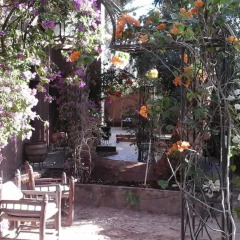 Отель Dar Nekhla - La Maison Des Palmiers Марокко, Загора - отзывы, цены и фото номеров - забронировать отель Dar Nekhla - La Maison Des Palmiers онлайн фото 5