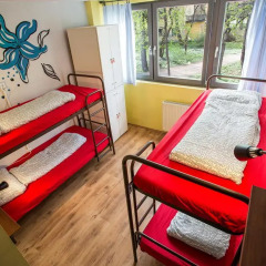 Island Hostel Adults only Кровать в общем номере фото 17