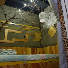 Gaia Hostel Номер категории Эконом фото 2