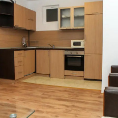Отель Aparthotel Salena Студия