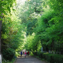 Отель Vanadzor Armenia Health Resort Армения, Дзорагет - отзывы, цены и фото номеров - забронировать отель Vanadzor Armenia Health Resort онлайн фото 11