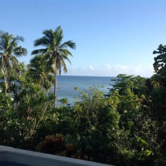 Отель Taveuni Palms Resort - All Inclusive Фиджи, Остров Тавеуни - отзывы, цены и фото номеров - забронировать отель Taveuni Palms Resort - All Inclusive онлайн балкон