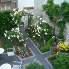 Отель Anselmus Hotel Бельгия, Брюгге - отзывы, цены и фото номеров - забронировать отель Anselmus Hotel онлайн фото 6