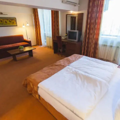 SPA Hotel Borova Gora 4* Стандартный номер с двуспальной кроватью фото 6