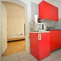 Апартаменты Garden Studio Apartment Zürichberg Студия с различными типами кроватей фото 41