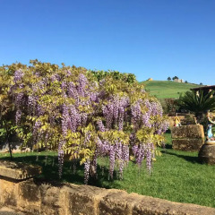 Отель Il Giardino di Athena Италия, Агридженто - отзывы, цены и фото номеров - забронировать отель Il Giardino di Athena онлайн фото 6