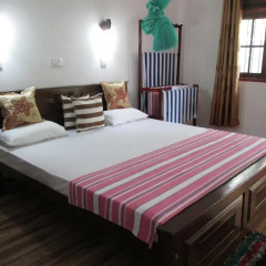 Отель Rainbow Guest House Стандартный номер с различными типами кроватей фото 19