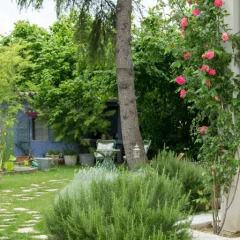 Отель Ca'Bevilacqua Bed&Breakfast Бертиноро фото 19