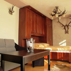 Отель udanypobyt Apartament Myśliwski Косцелиско удобства в номере фото 2