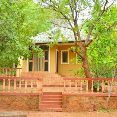 Отель Kodigahawewa Forest Resort 3* Номер Делюкс с различными типами кроватей фото 5