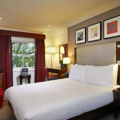 Отель Hilton Green Park 4* Номер Делюкс фото 3