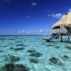 Отель Hilton Moorea Lagoon Resort and Spa 5* Бунгало Премиум с различными типами кроватей