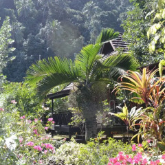 Отель Hitimoana Villa Tahiti 4* Бунгало фото 4