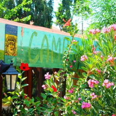 Medusa Camping Турция, Патара - отзывы, цены и фото номеров - забронировать отель Medusa Camping онлайн фото 5