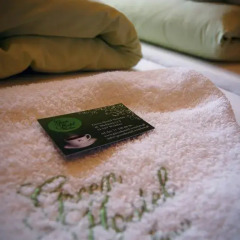 Green Hostel Wrocław Стандартный номер с различными типами кроватей фото 7