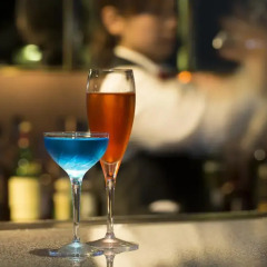 Hotel Nikko Osaka гостиничный бар