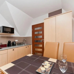Отель Apartamenty Sun&Snow Kościelisko Residence Косцелиско в номере фото 2