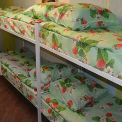 Hostel Matryoshka and Mishka детские мероприятия