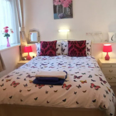 Ardsley Hotel 3* Стандартный номер с двуспальной кроватью фото 4