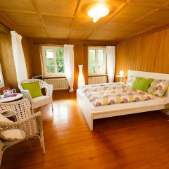 Отель B&B Zollikerberg 3* Стандартный номер с различными типами кроватей