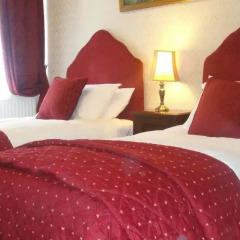 Отель The Sycamore Guest House 4* Стандартный номер с различными типами кроватей фото 13