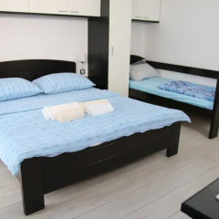 Апартаменты Madea Apartment Piknik Нови Сад комната для гостей фото 4