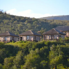 Отель Addo Palace Bush Huts Шале с различными типами кроватей фото 2
