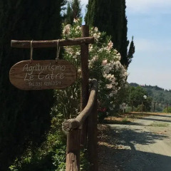 Отель Agriturismo Le Catre Кастаньето-Кардуччи фото 9