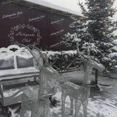 Гостиница Гостевой Дом Усадьба Демидова в Листвянке 1 отзыв об отеле, цены и фото номеров - забронировать гостиницу Гостевой Дом Усадьба Демидова онлайн Листвянка