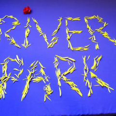 River Park Homestay and Hostel Кровать в общем номере с двухъярусной кроватью фото 3