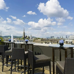 Отель The Ritz Carlton Vienna Вена балкон