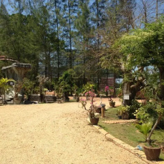 Отель Airport Phuket Garden Resort пляж