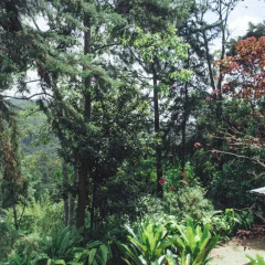 Отель Villa Republic Bandarawela 3* Вилла с различными типами кроватей фото 14