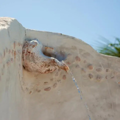 Отель Beachfront Hotel La Palapa - Adults Only Мексика, Остров Ольбокс - отзывы, цены и фото номеров - забронировать отель Beachfront Hotel La Palapa - Adults Only онлайн фото 8