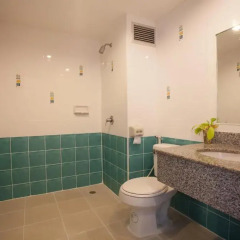 The Greenery Hotel 3* Стандартный номер с различными типами кроватей фото 5