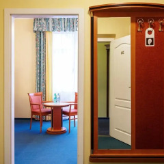 Villa Savoy Spa Park Hotel 4* Стандартный номер с различными типами кроватей фото 3