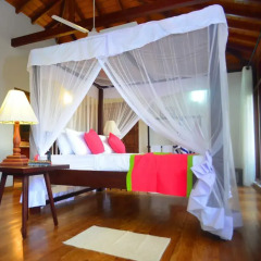 Отель Tropical Retreat 3* Номер Делюкс с различными типами кроватей