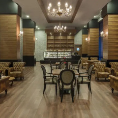 Akrones Thermal Spa Convention Hotel гостиничный бар