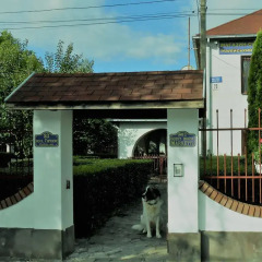 Гостиница Guest House Marketti фото 9
