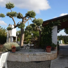 Отель B&B Delle Rondini Альберобелло фото 6