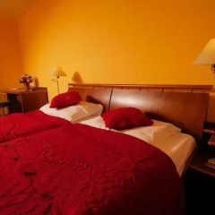 Отель SCHWAIGER 4* Стандартный номер фото 5