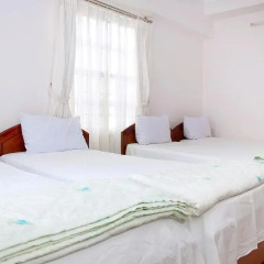 Blue Sea 3 Hotel Nha Trang 2* Номер Делюкс разные типы кроватей фото 13