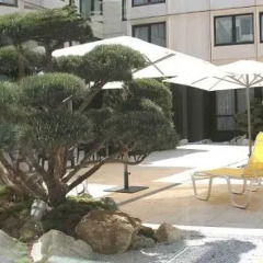 Отель Ramada Nuernberg Parkhotel фото 6