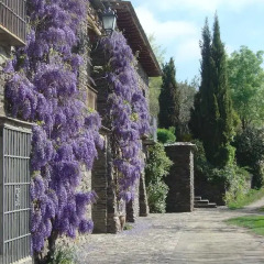 Отель Cortijo Prado Toro Сьерра-Невада фото 18