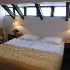 Hotel Jana / Pension Domov Mladeze Стандартный номер с различными типами кроватей фото 3